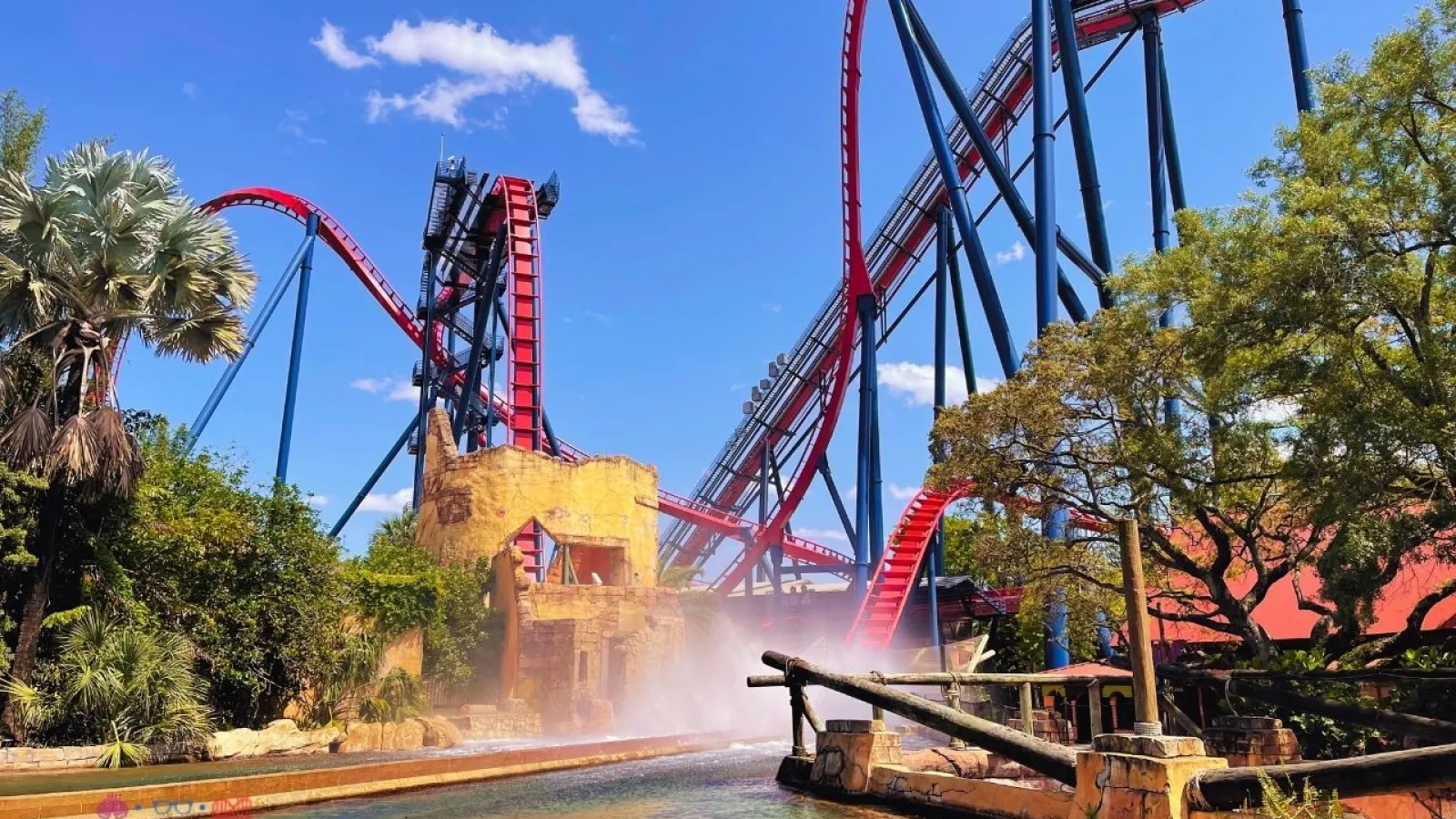 a roller coaster with trees and water