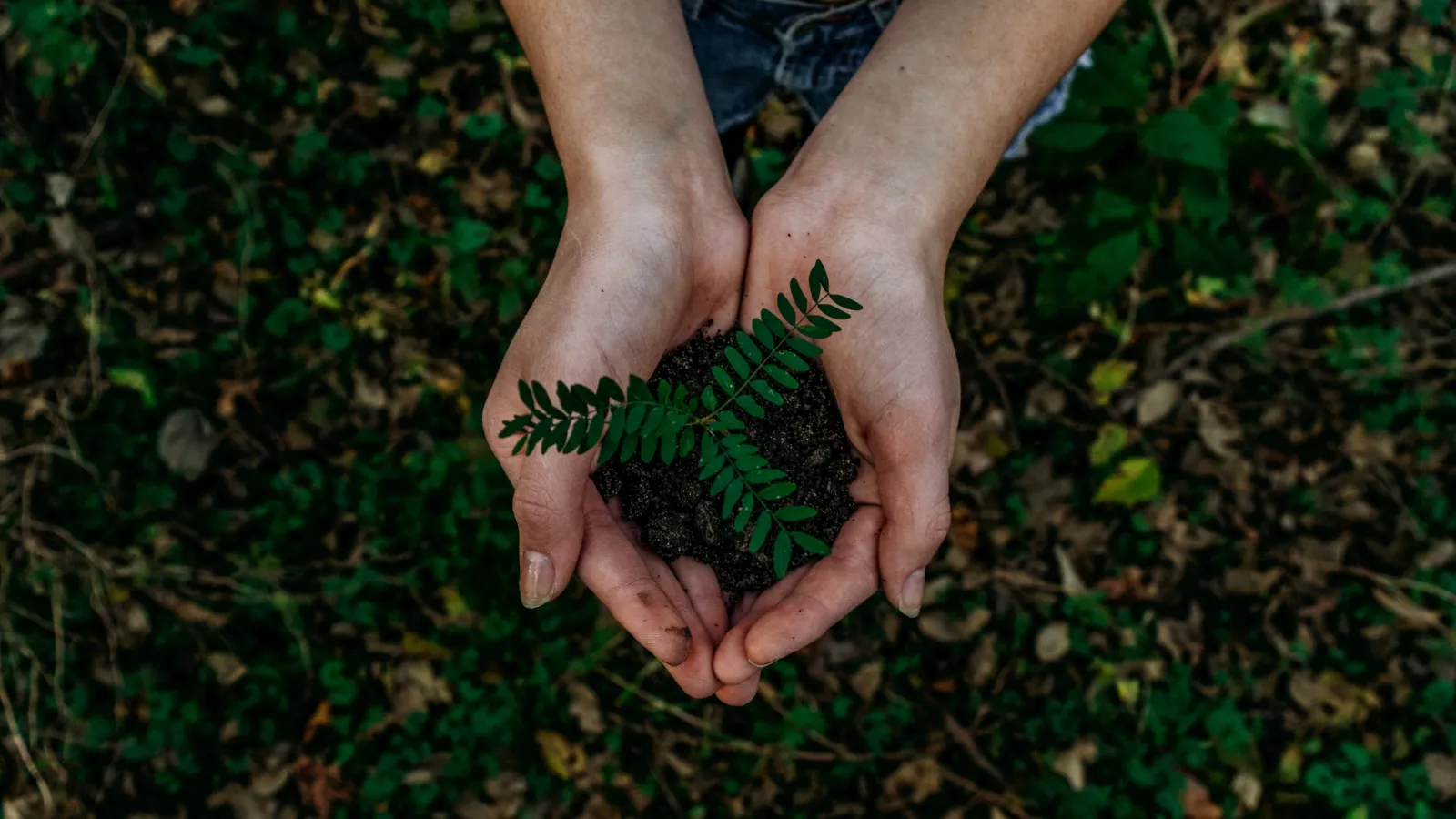 Celebrate Earth Day With Greener Water Habits at Home!