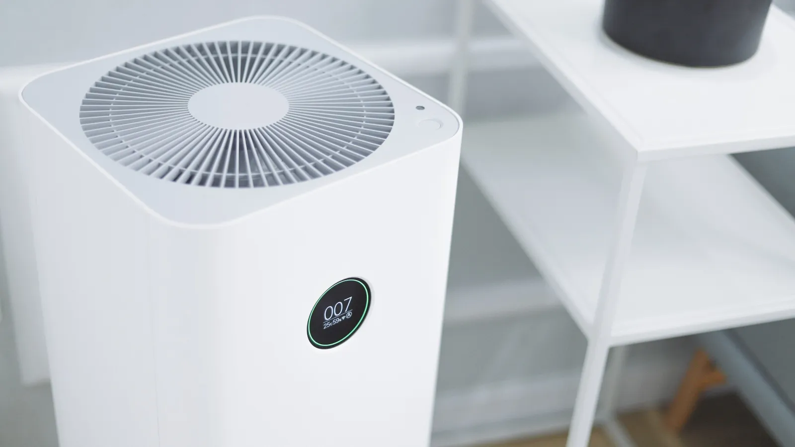 Dry VS Humid Air: Is Humidity Good at Home?