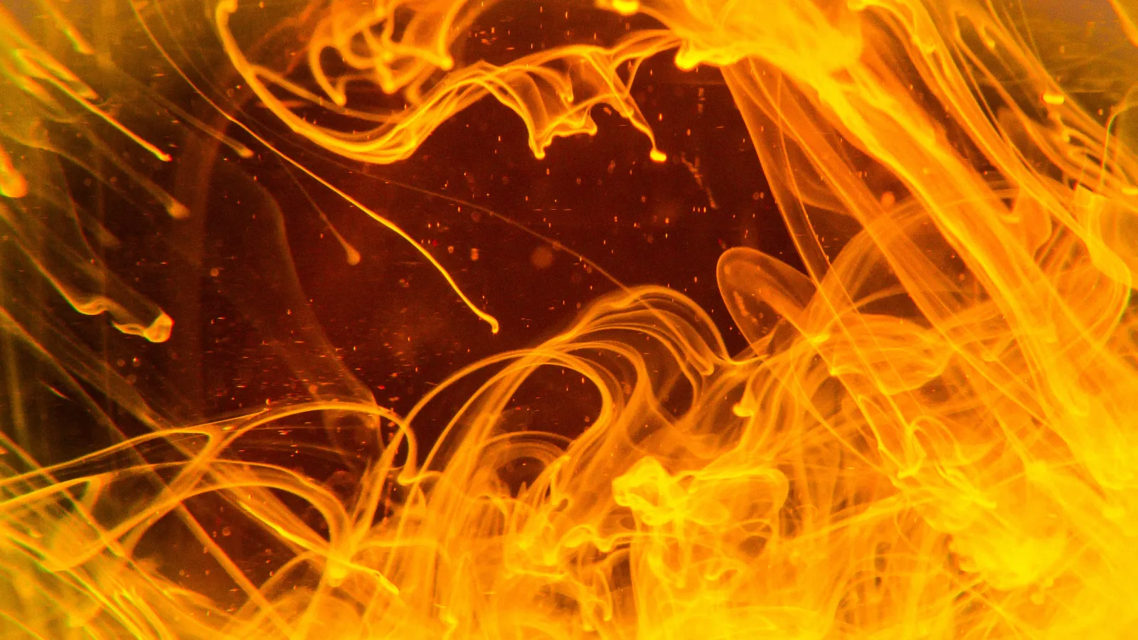 How Does A Heat Pump Work?