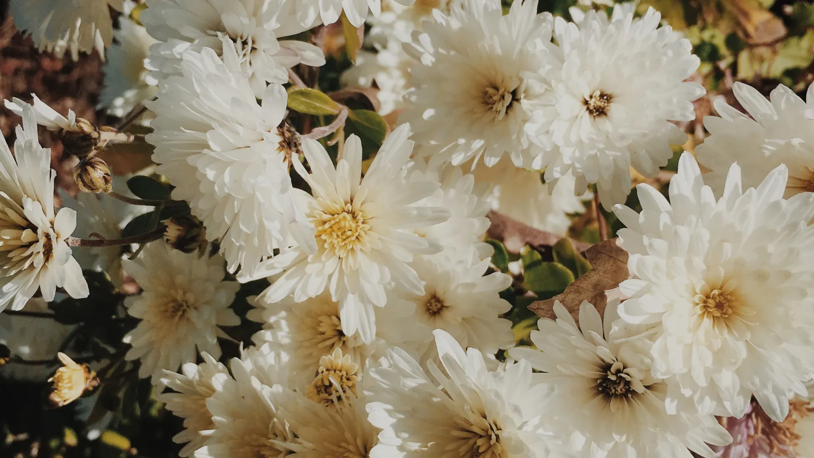 Sizzling Spring & Summer Electrical Tips