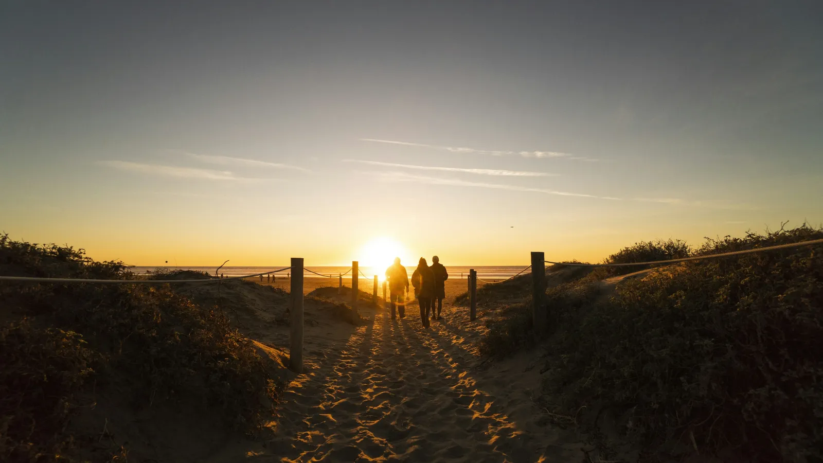 a couple people walking on a path