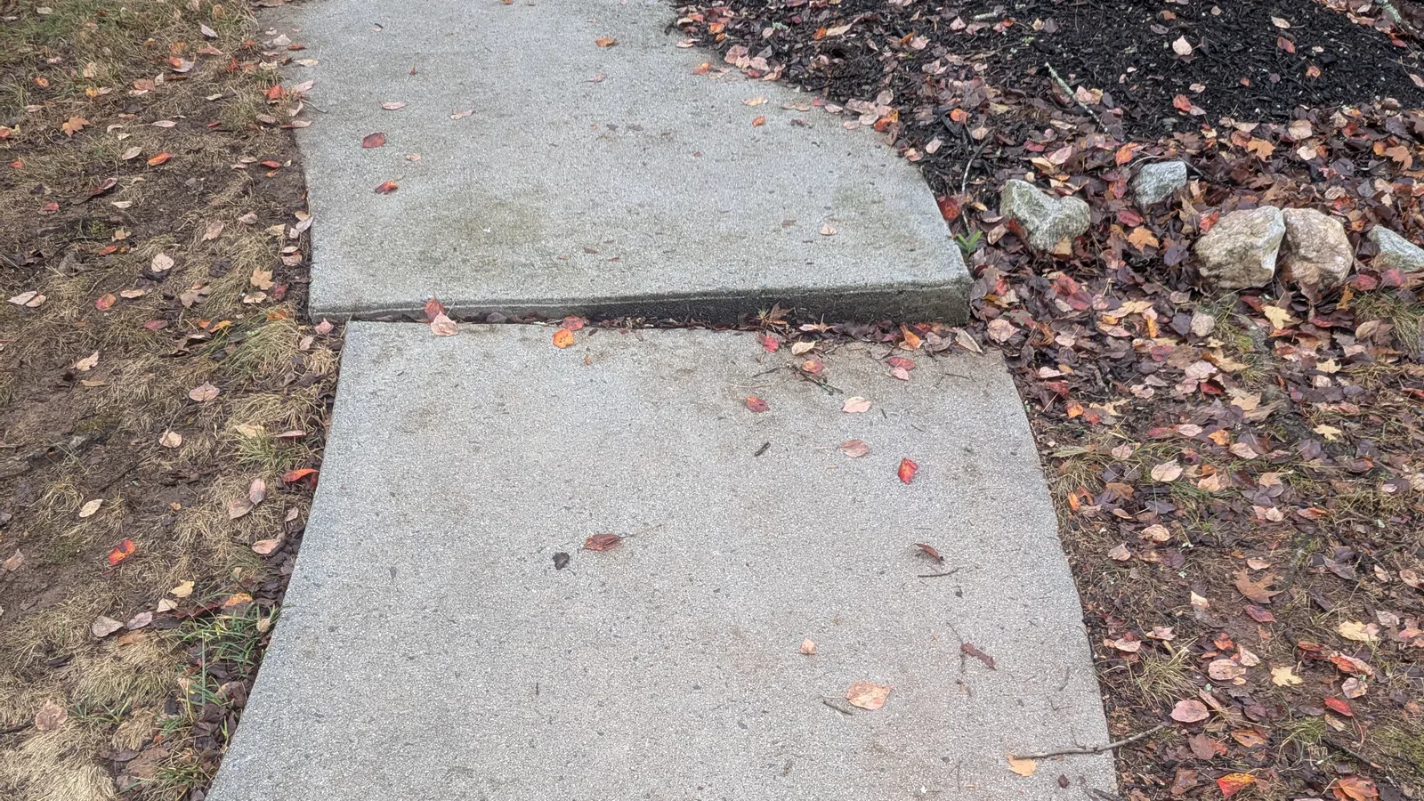 Concrete sidewalk slabs with visible cracks and fallen autumn leaves along grass and mulch edges.