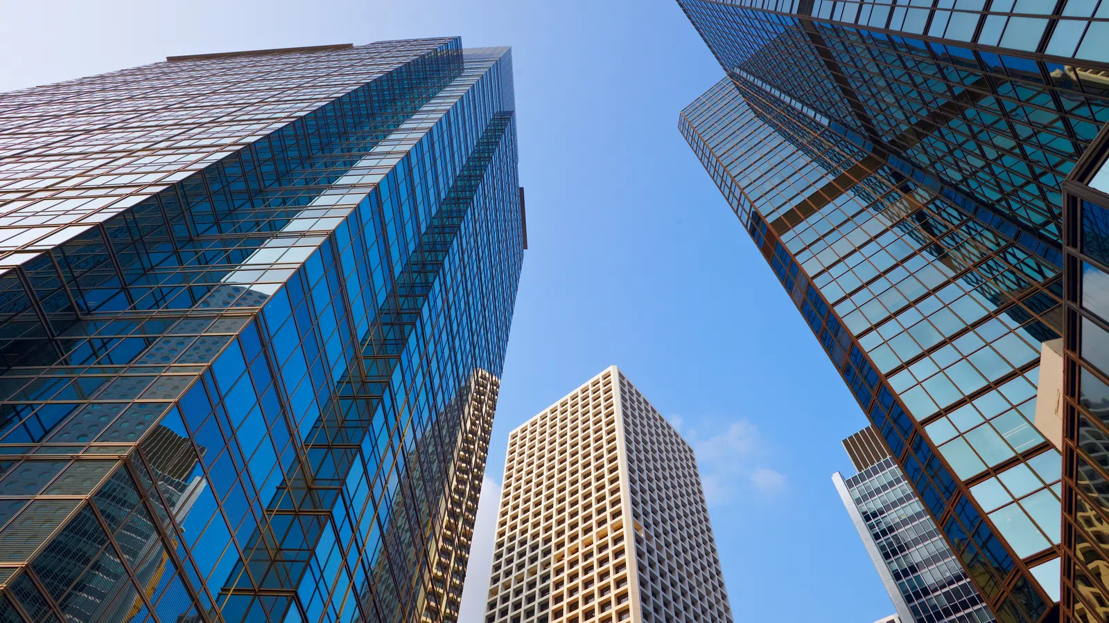 skyscrapers in a city