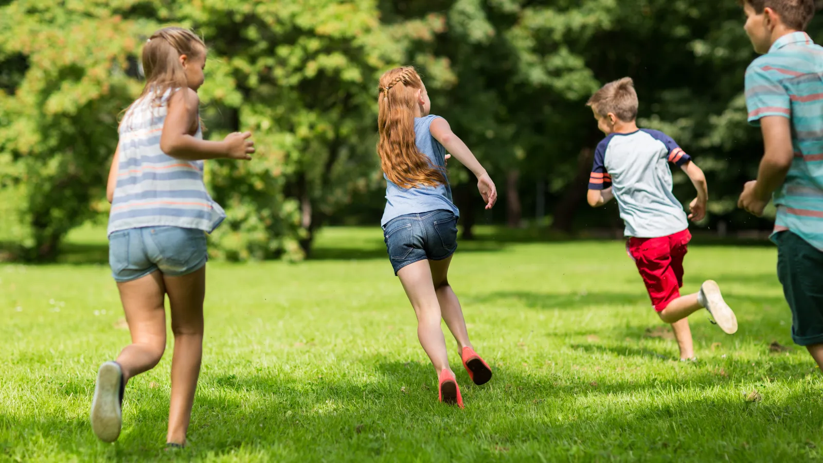 Terminate Termite and Pest Control