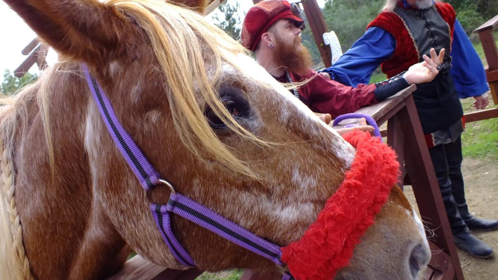 “Take a ride on this mighty stead [sic].” by Maya Khouw, Woodcreek MS, Feature Photo, 1st Place