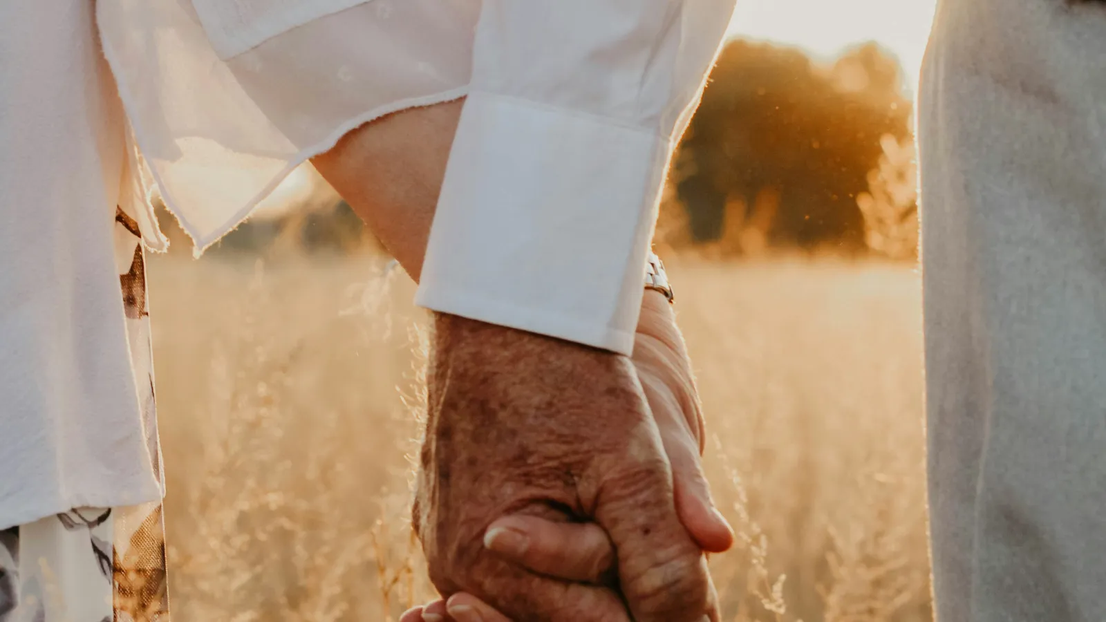 Elderly couple holding hands in a sunlit field at golden hour, symbolizing love and togetherness.