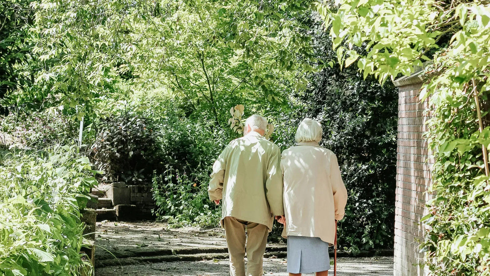Elderly couple walking hand in hand on a sunlit garden path surrounded by lush green foliage.