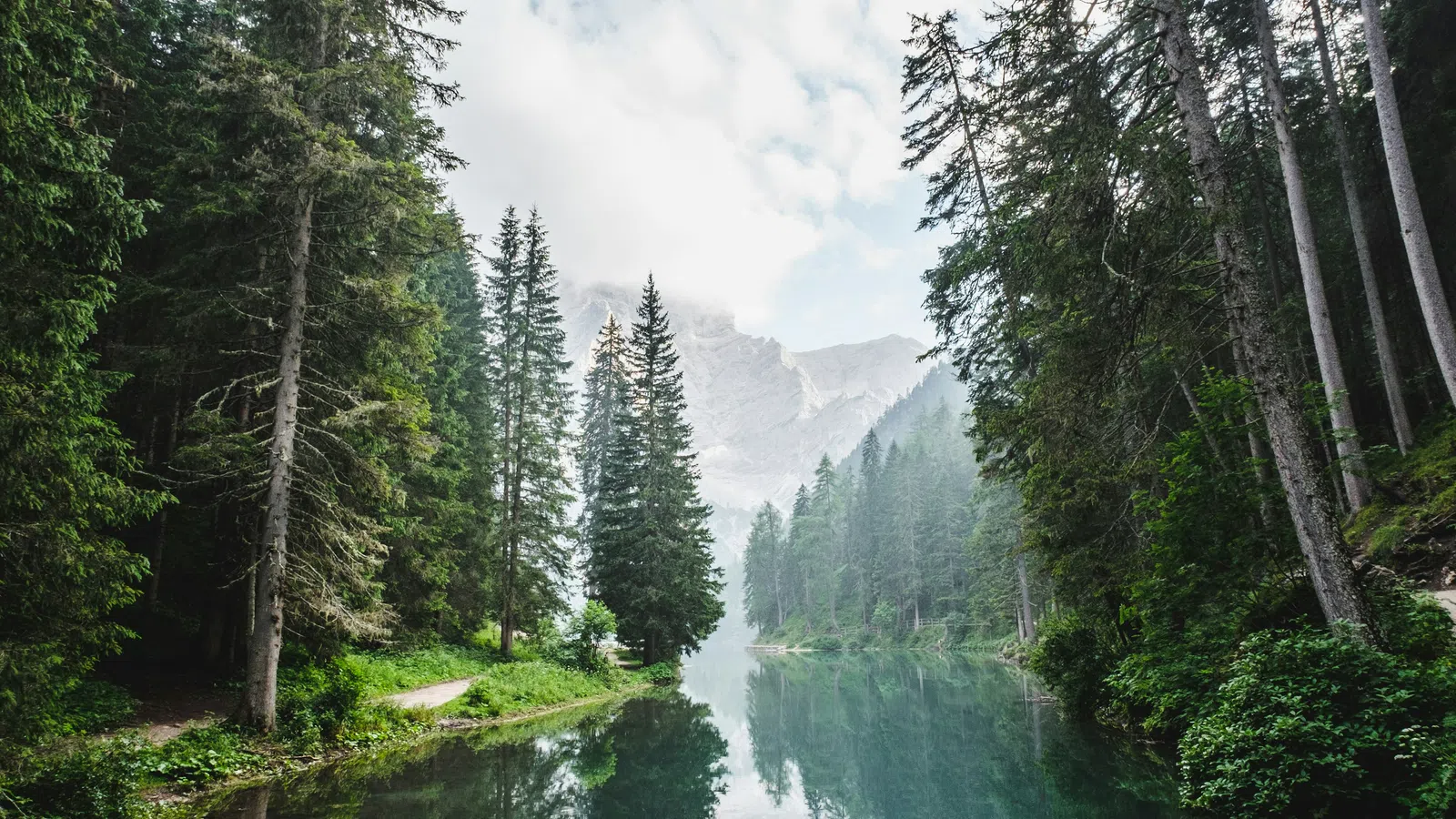 Peaceful lake surrounded by tall pine trees and misty mountains under a cloudy sky, reflecting in clear water.