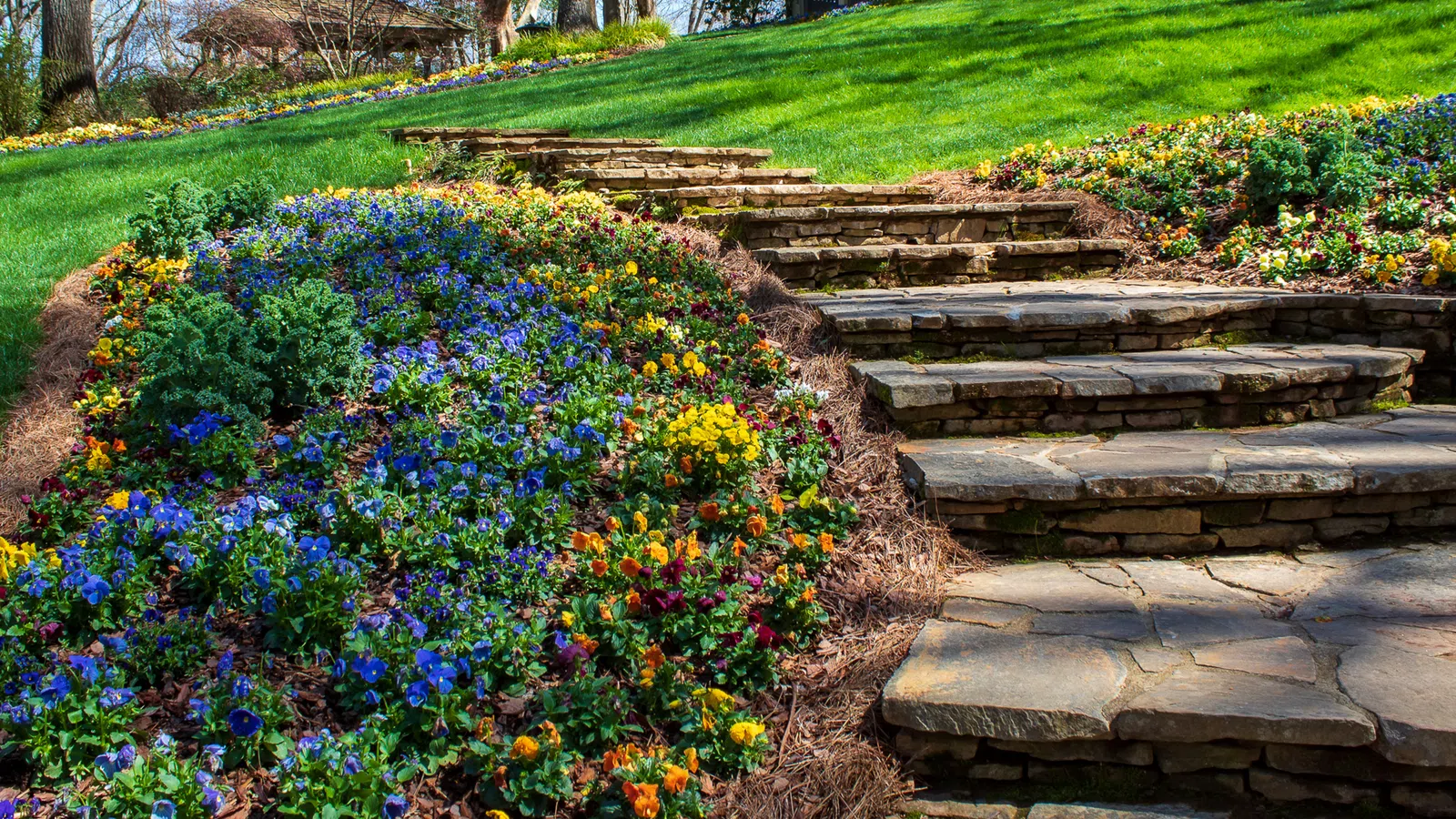 a stone staircase leading up to a house with a large lawn and flowers