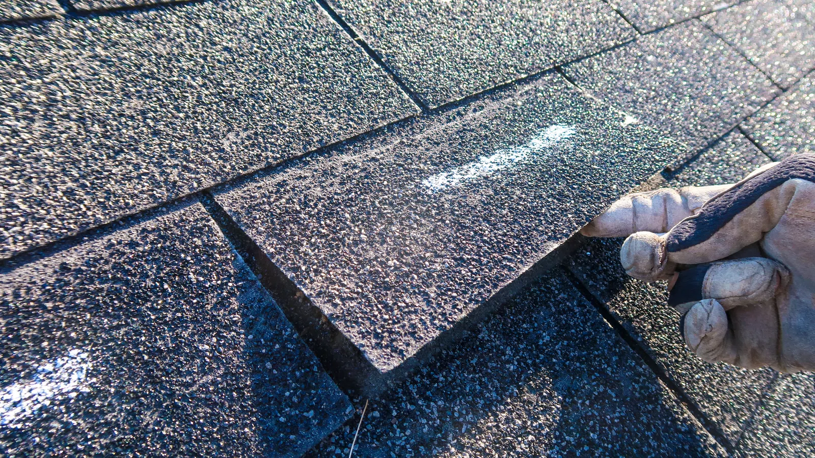 Hand in work glove lifting a loose asphalt shingle on a textured roof under daylight.