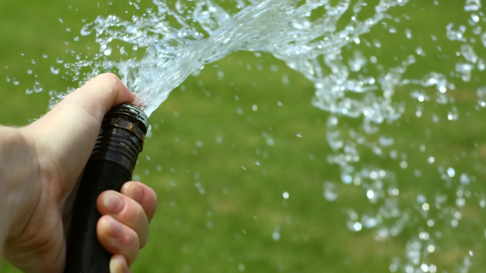 Hand holding a black garden hose spraying water against a blurred green grass background
