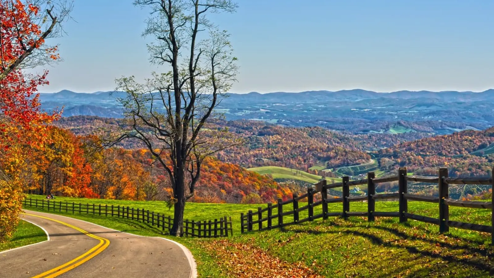 fall trees and a field and road