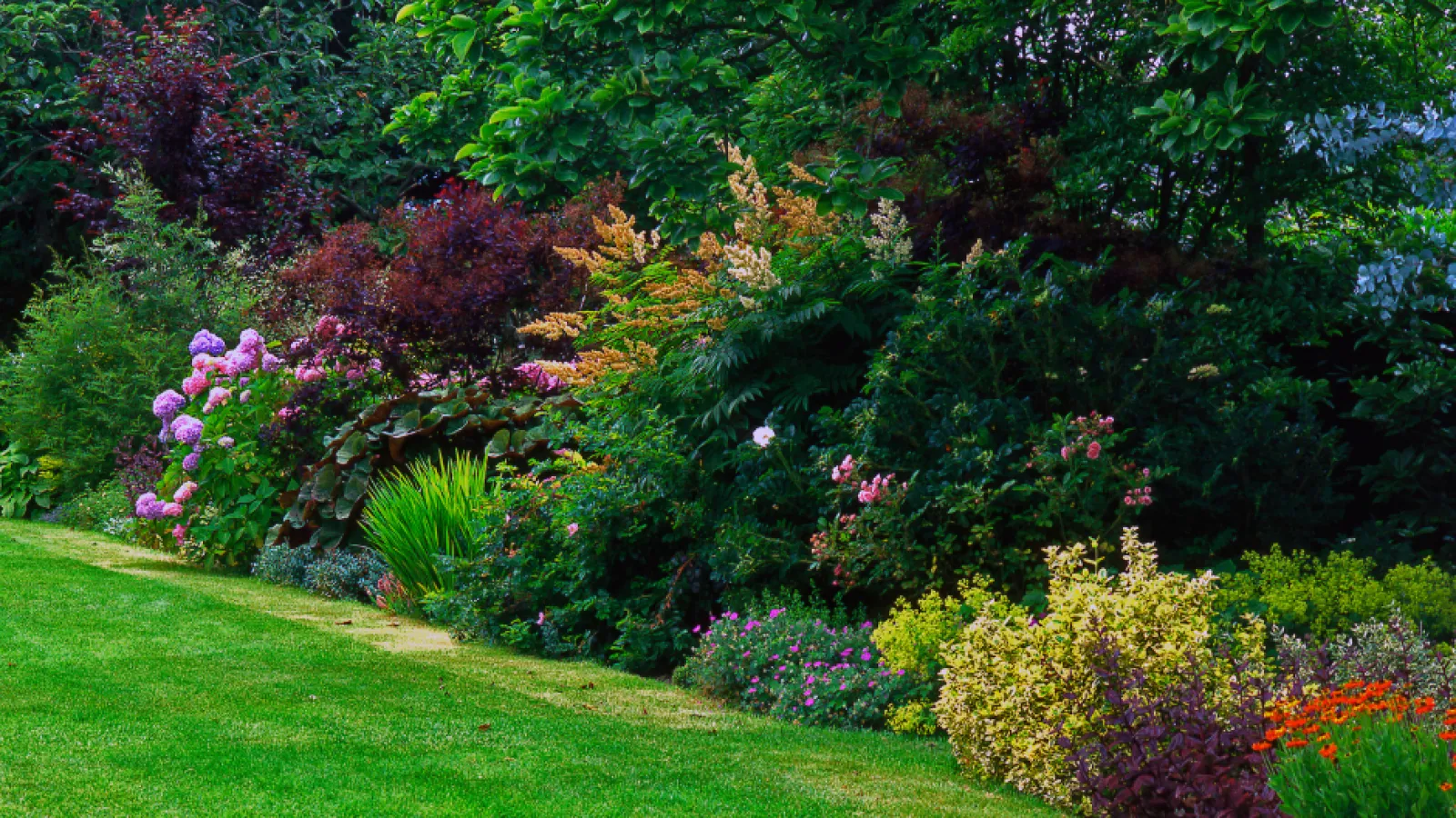 pretty grass with home