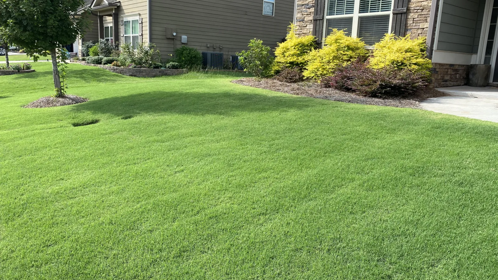 Beautiful Bermuda lawn