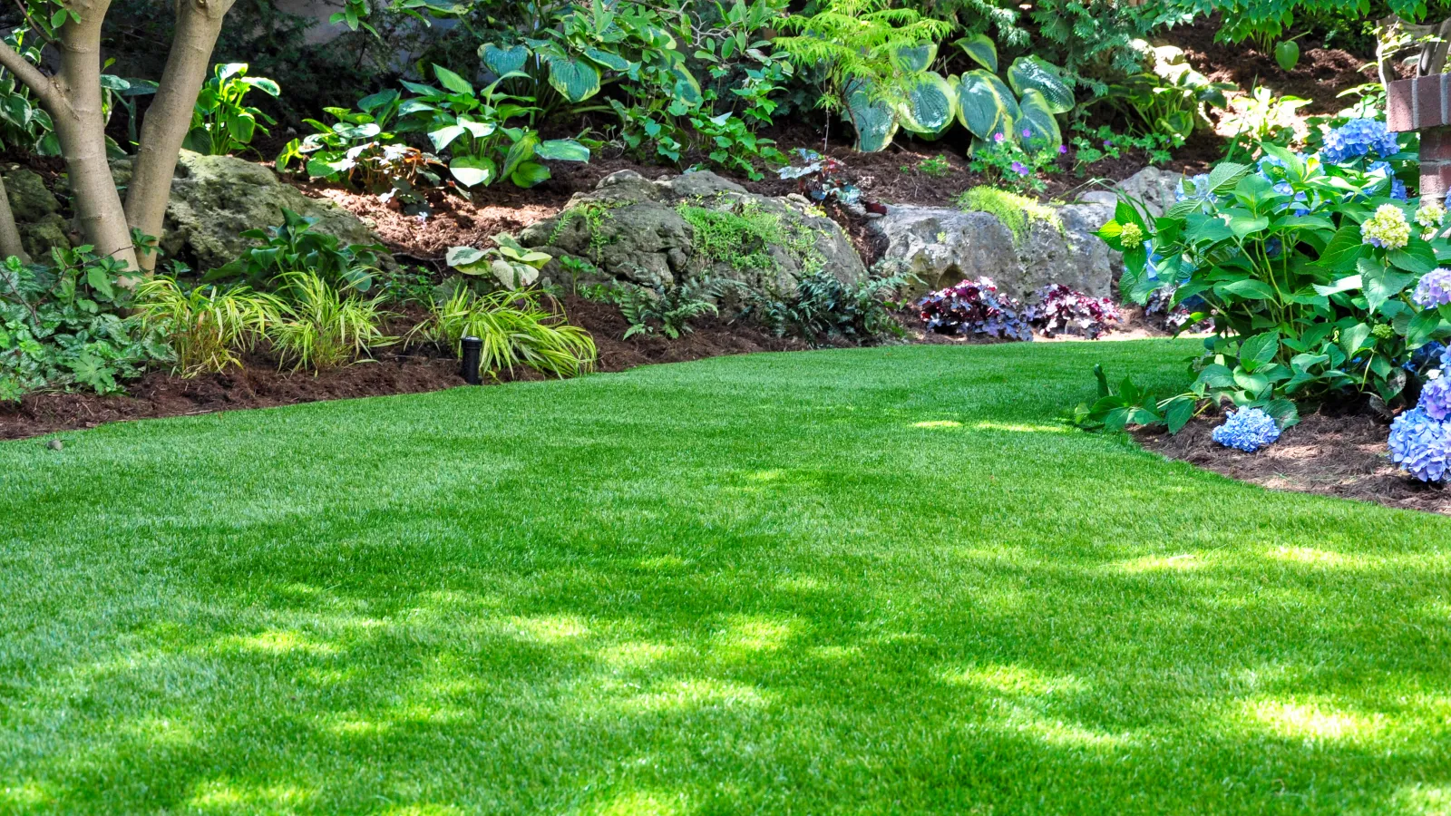 a green lawn with trees in the background