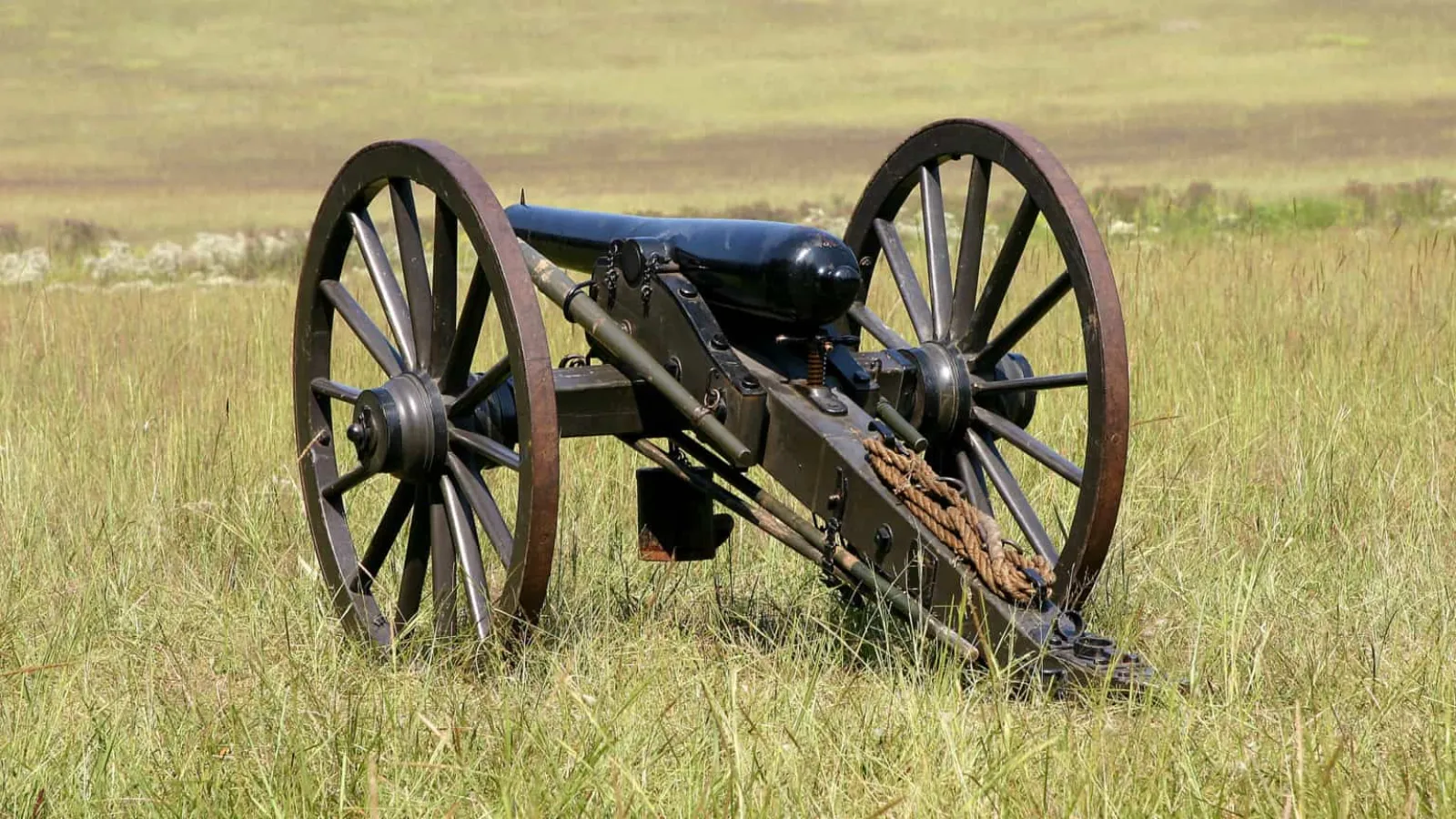 cannon