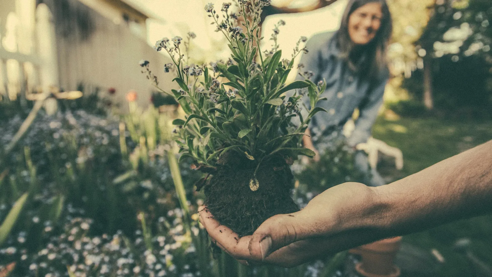 a person sitting on a plant