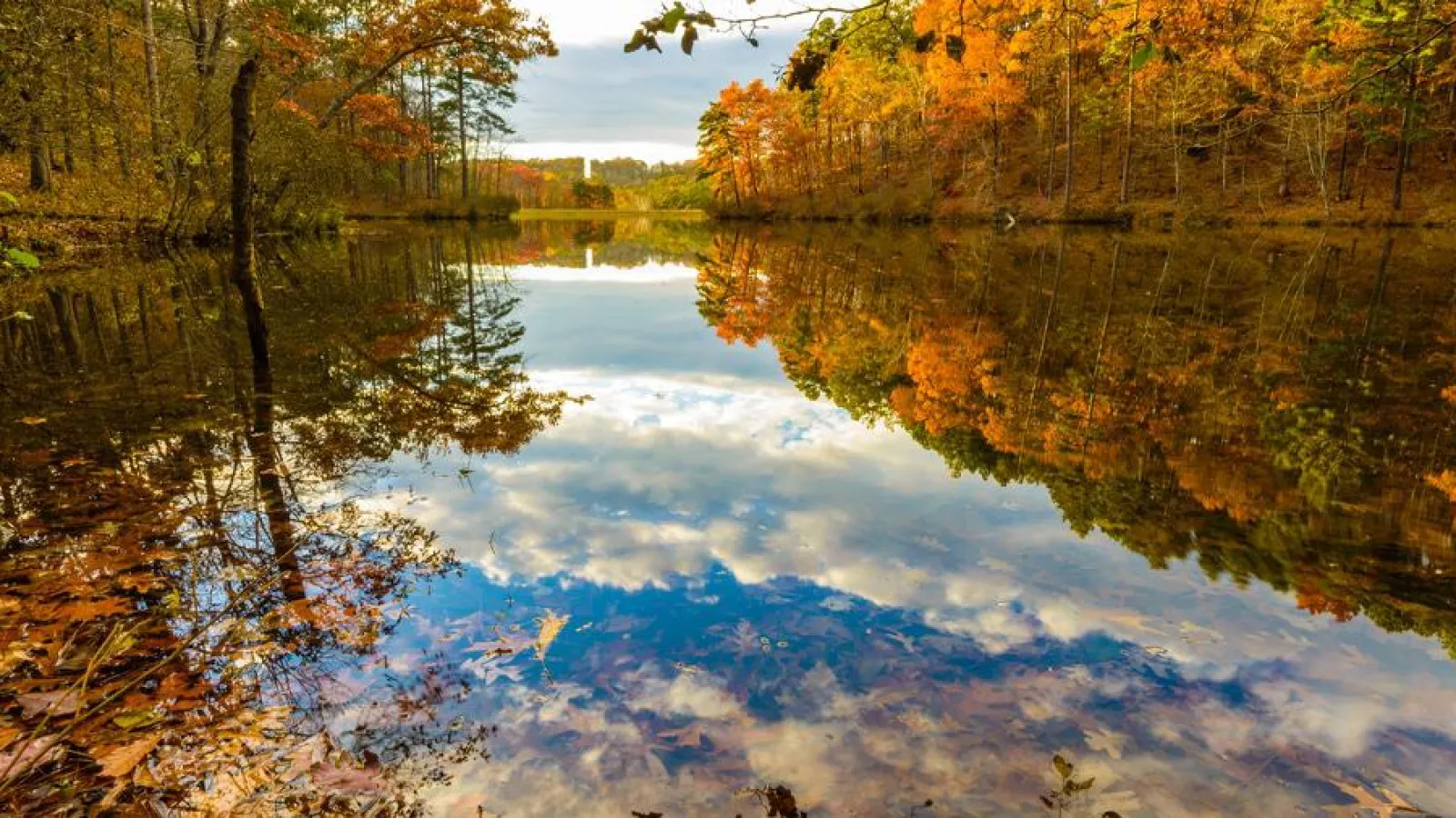 fall colored trees surrounding lake
