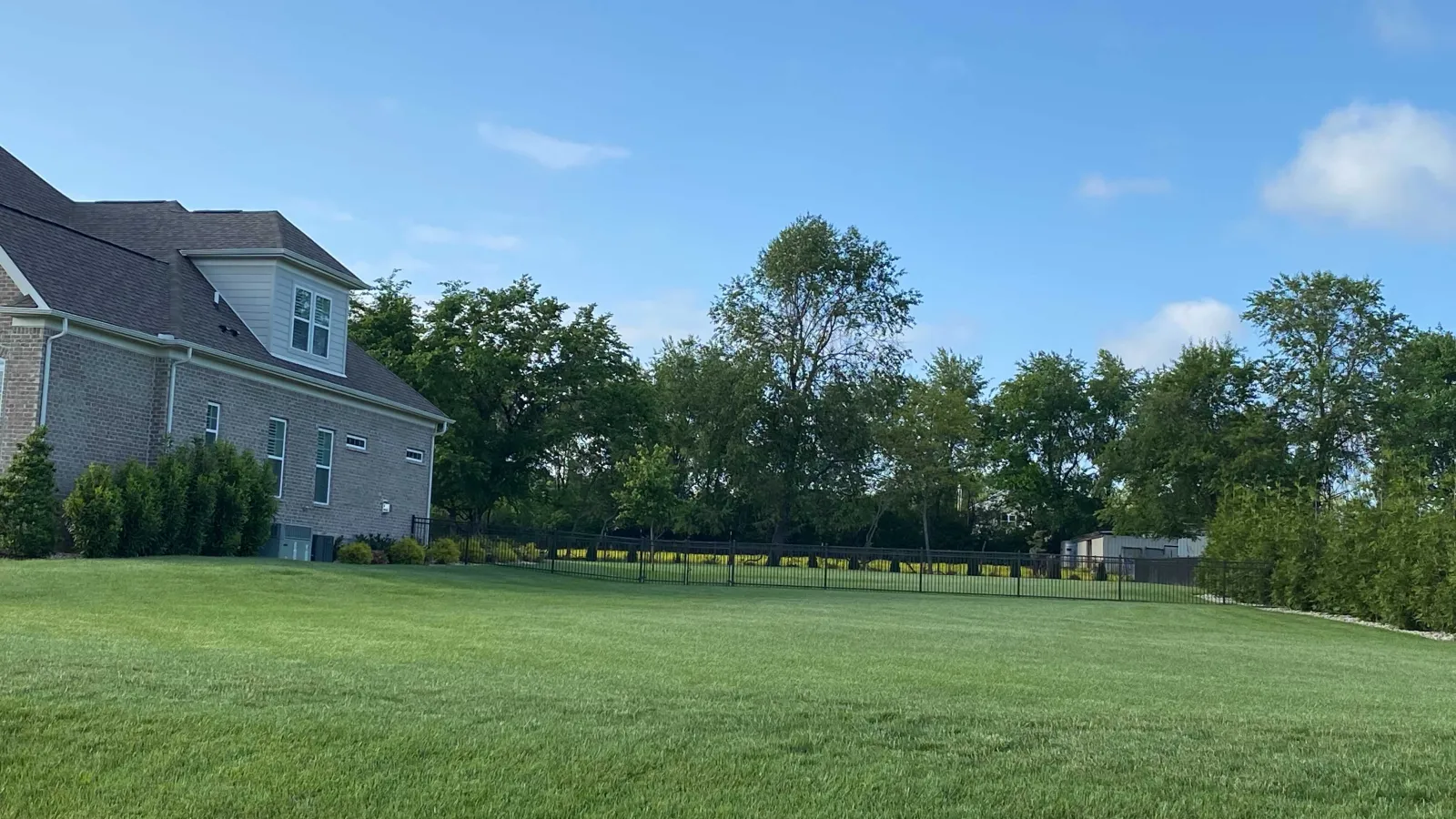 Beautiful lawn with trees