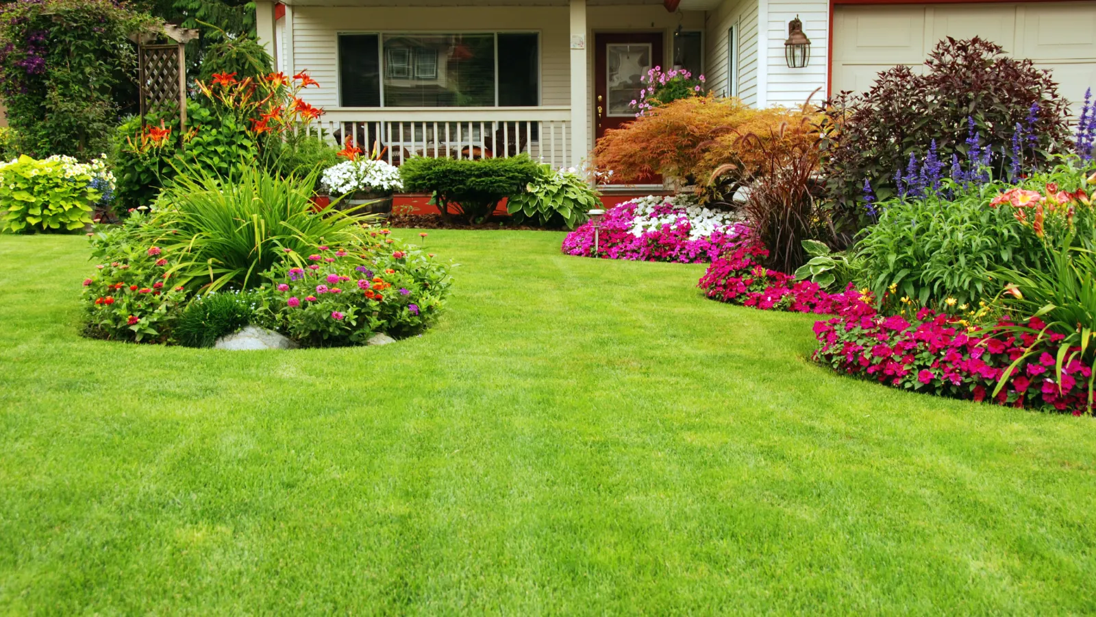 Beautiful lawn with trees