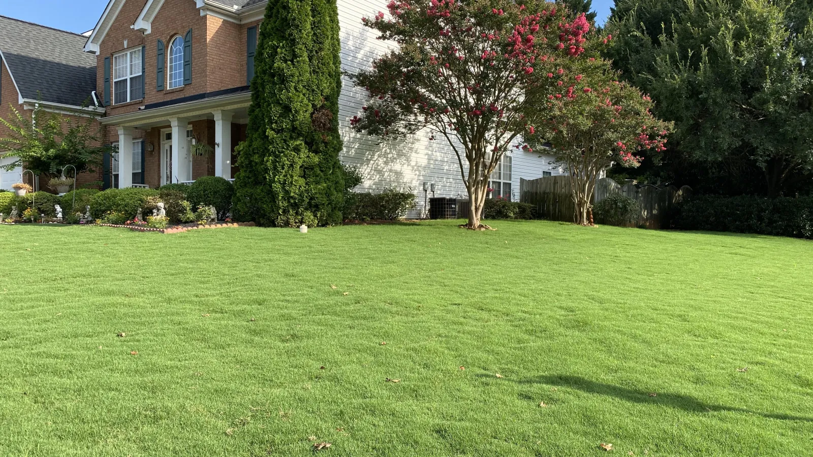 pretty grass with house
