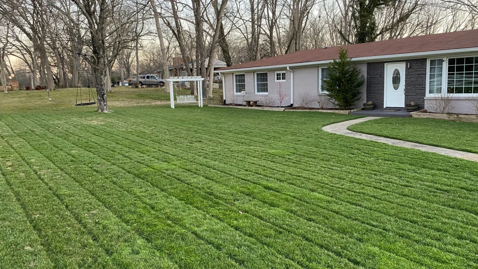 Zoysia pretty grass