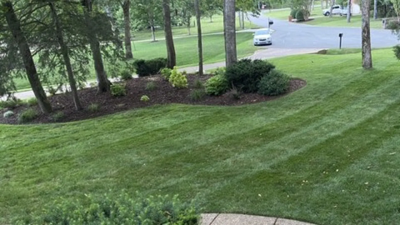 Fungicide treated lawn