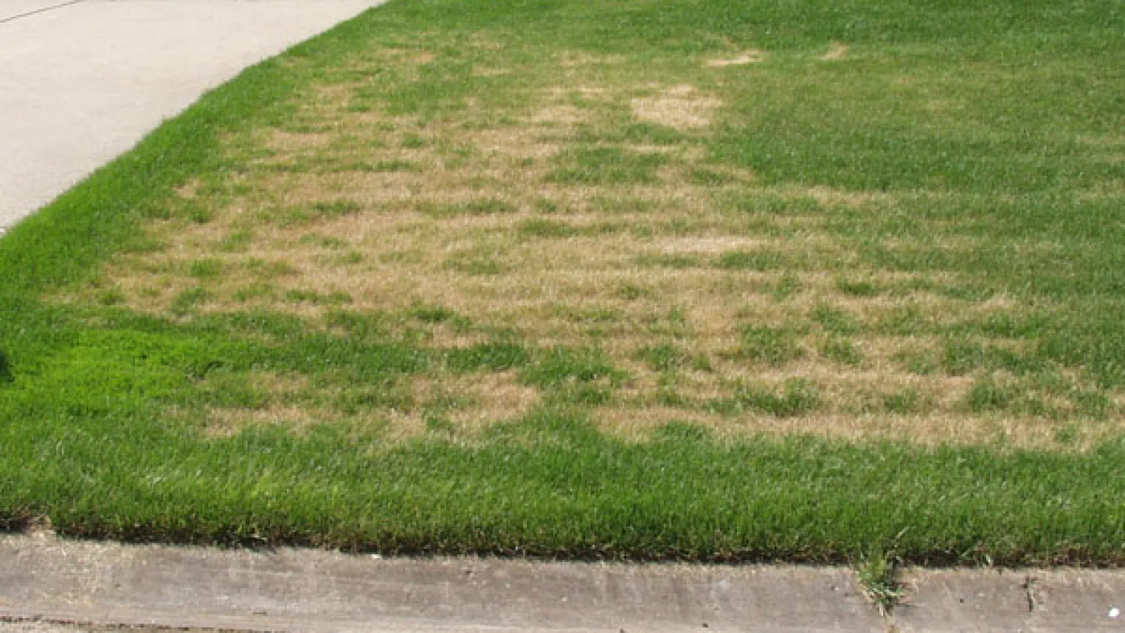 a grassy area with a sidewalk