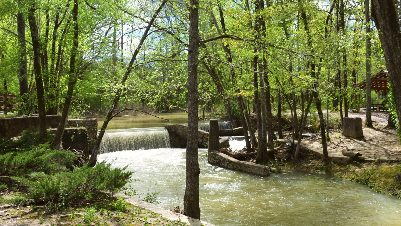 water through wooded area