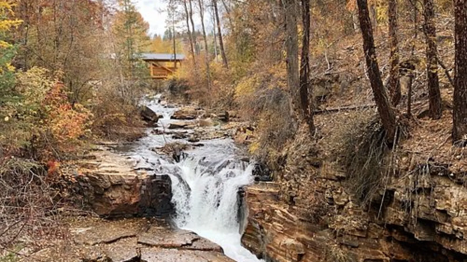 waterfall in woods