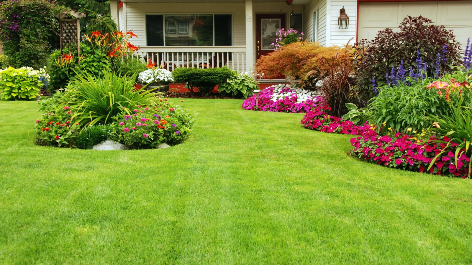 Beautiful lawn with healthy shrubs