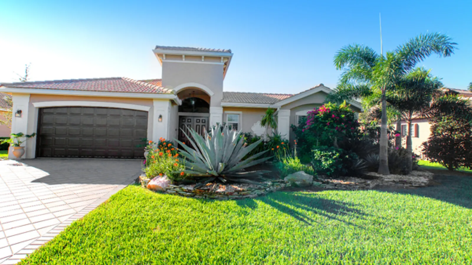 Modern single-story house with a manicured lawn, large agave plant, and palm tree under clear blue sky.