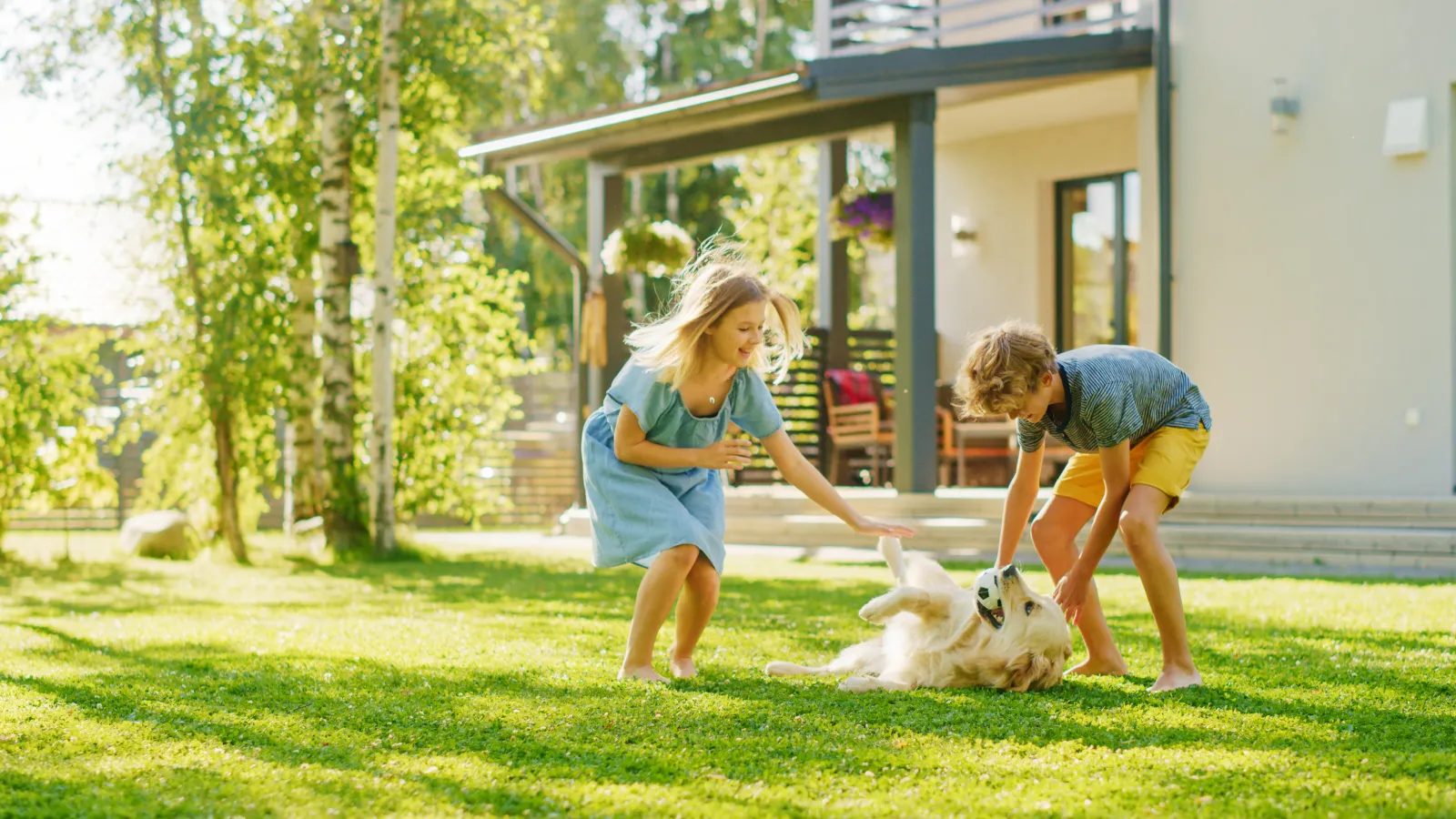 a couple of children playing with a dog in a yard