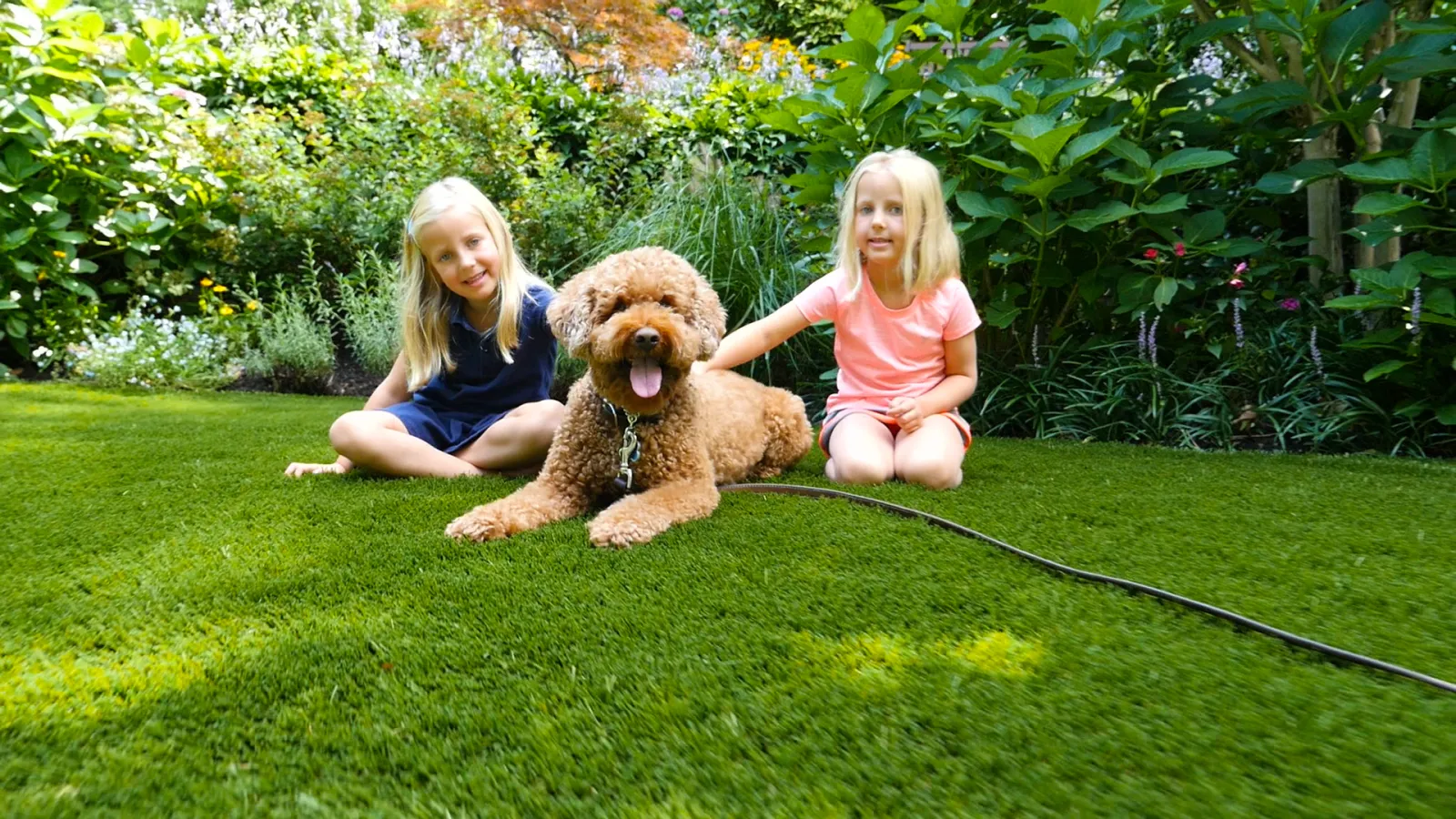 Two girls playing with a fluffy dog on green grass in a vibrant garden setting.