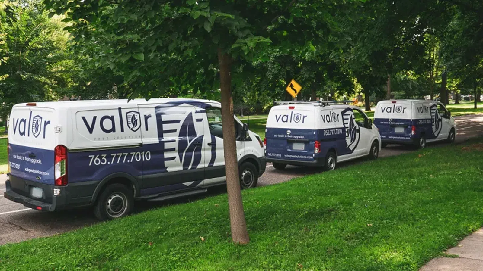 Three Valor Pest Solutions vans parked on a tree-lined street with green grass surrounding them.