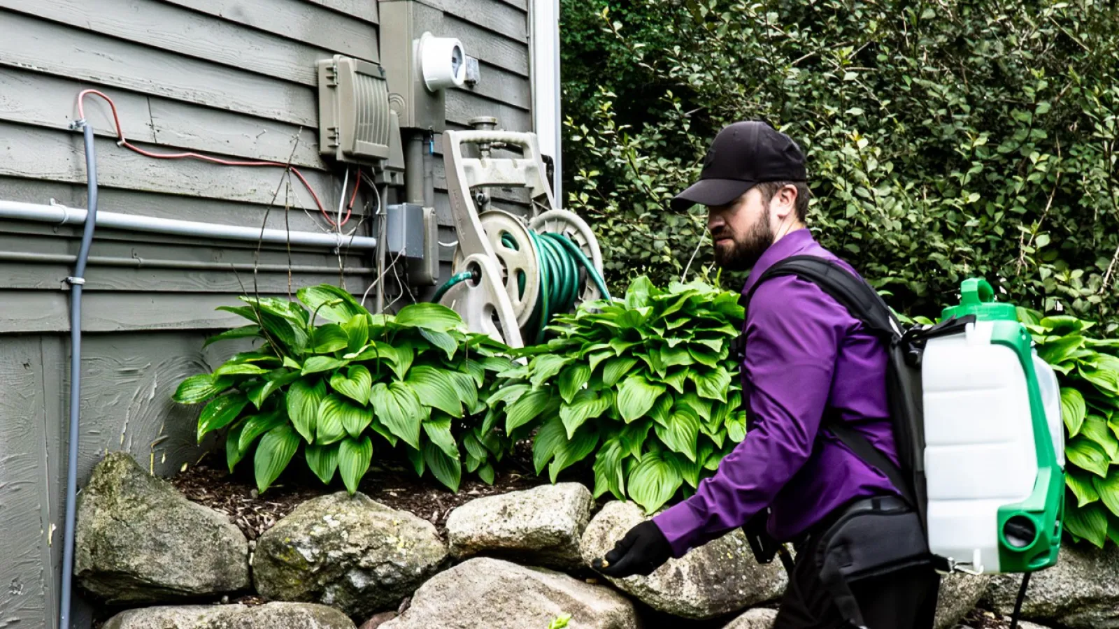 Gardener with backpack sprayer treating plants outside a house near stone wall and air conditioning unit.