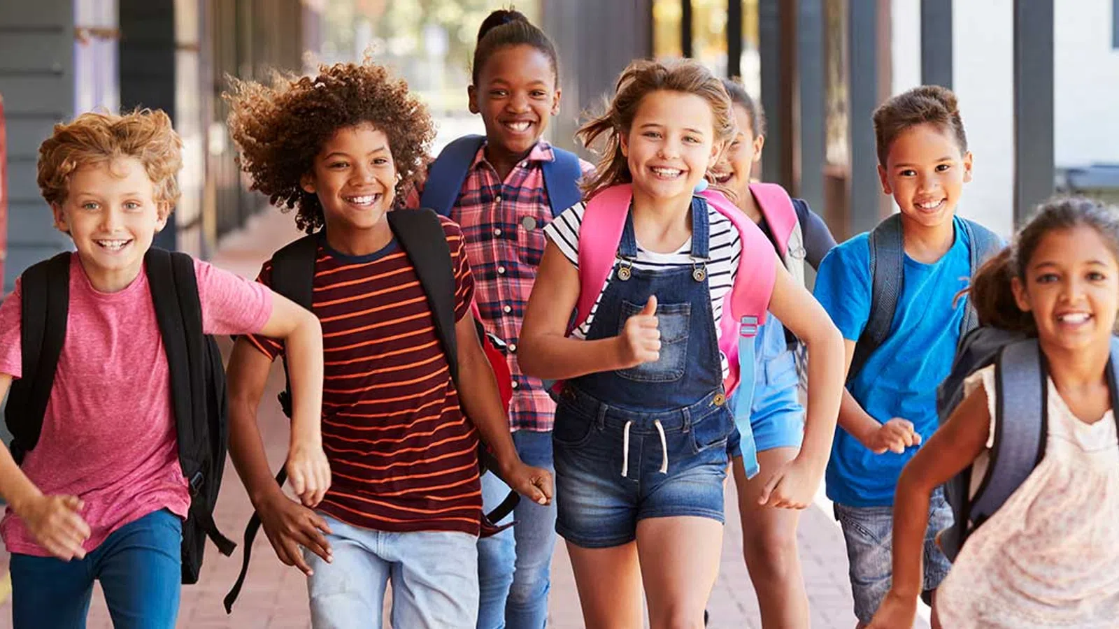 Viral Solutions SchoolScreen