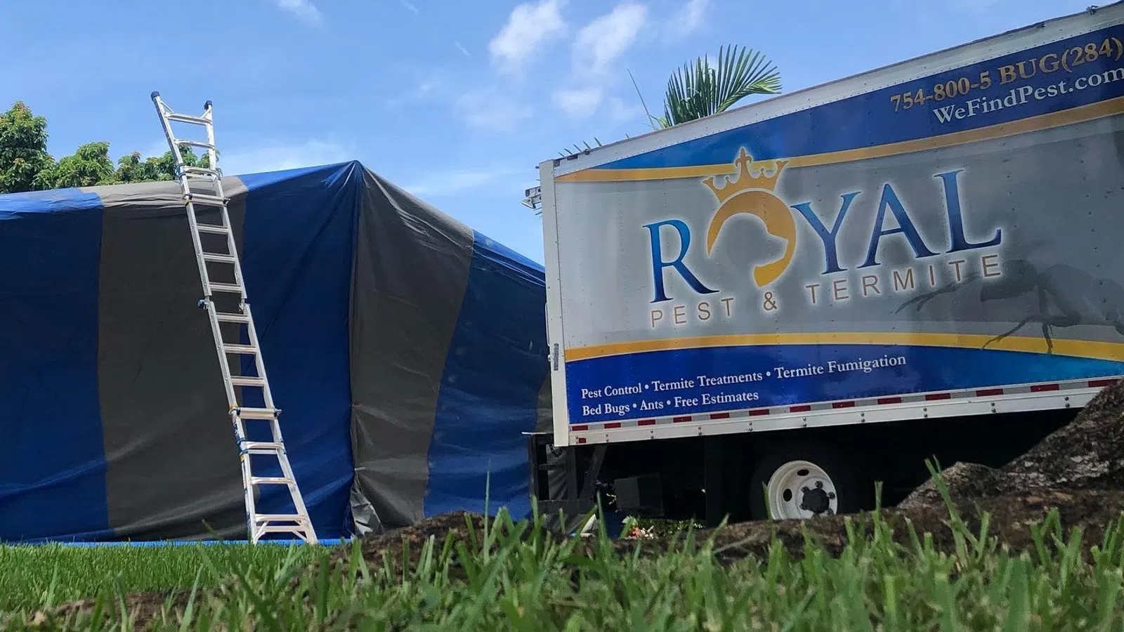 Royal Pest & Termite truck next to a blue tent with a ladder, set up on a grassy lawn under a blue sky.