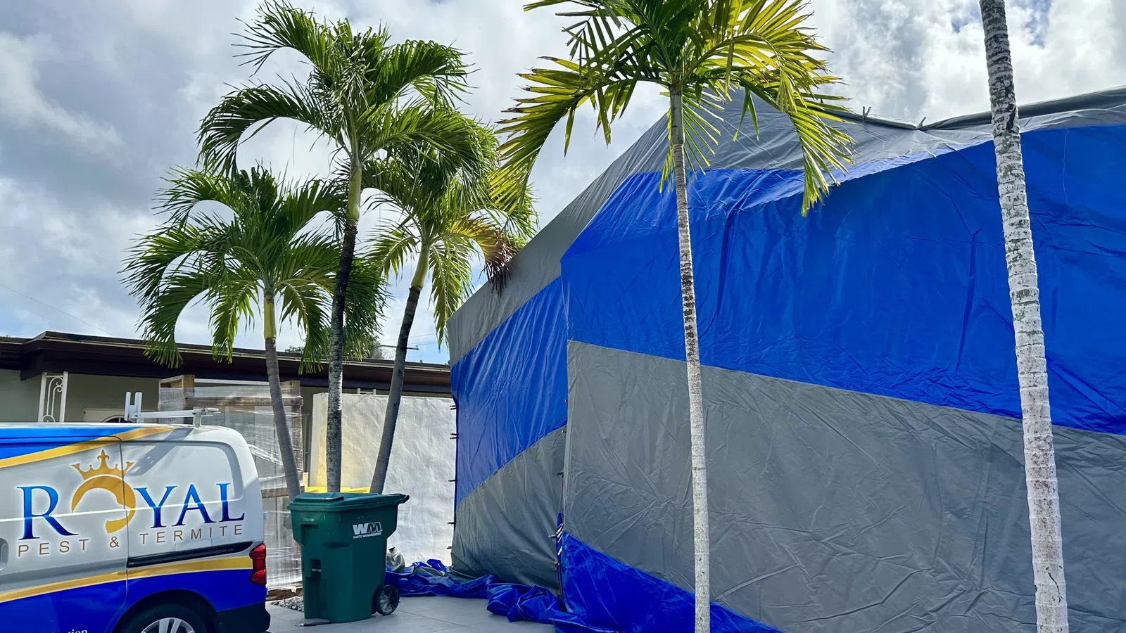 Royal Pest & Termite van next to a building tented for fumigation with palm trees under a cloudy sky