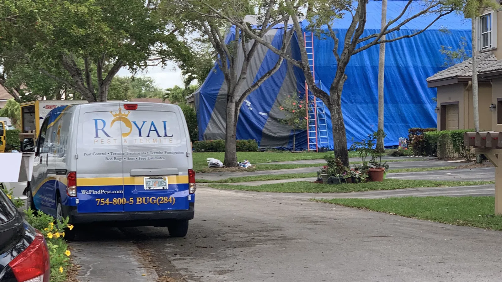 Van with Royal company logo parked on residential driveway near house covered in blue protective tarp.