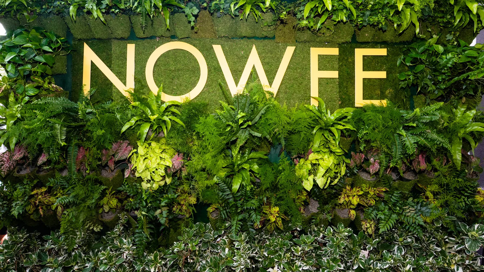 Green wall garden with various ferns and plants surrounding large yellow letters spelling NOWFE.