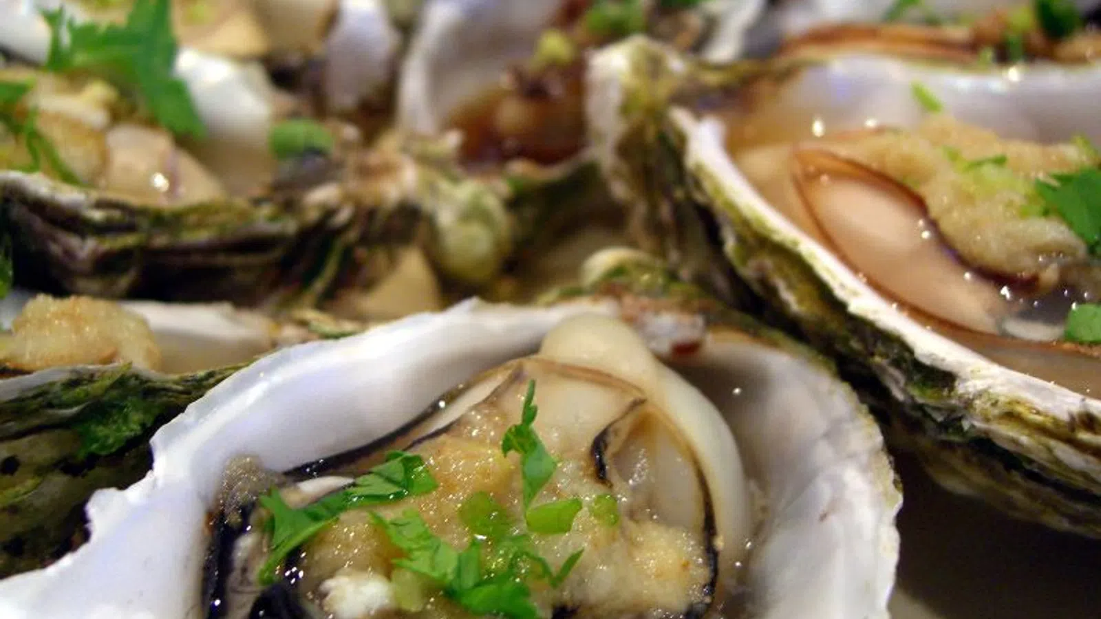 Eating Oysters Could Make You Rich