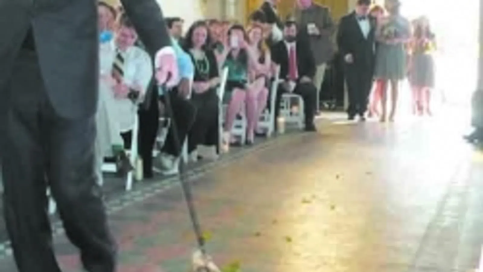 The Duck Who Waddled Down the Aisle