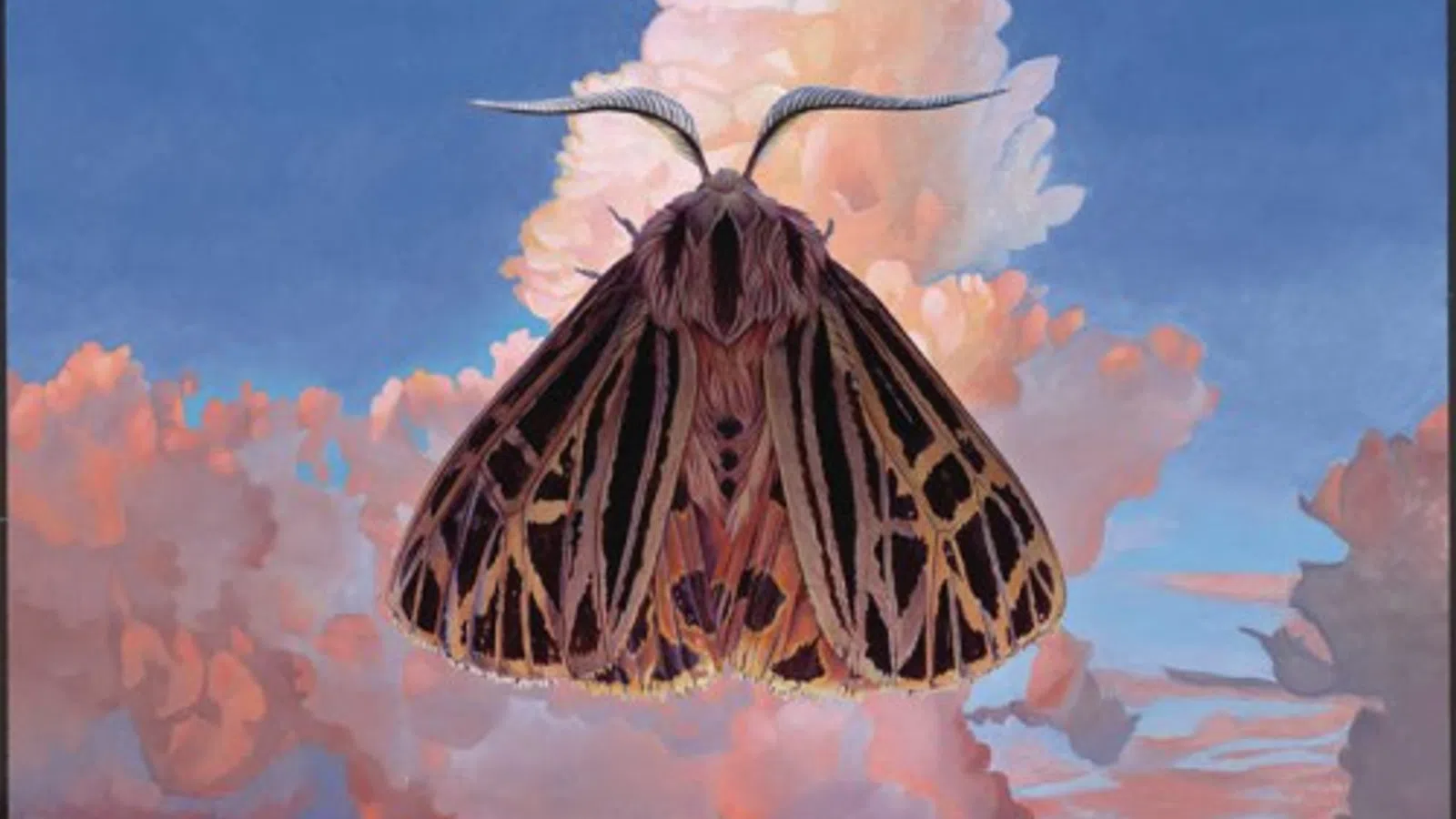 Moth - Chairlift