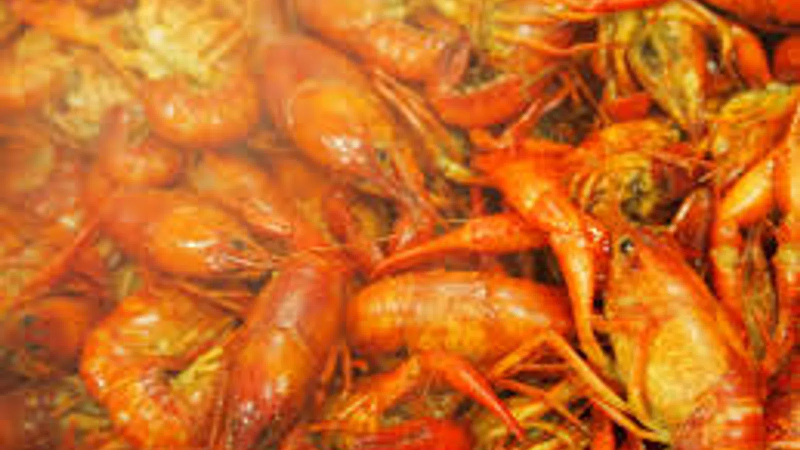 Pair of New Orleans Chefs to Compete for King of Louisiana Seafood Crown