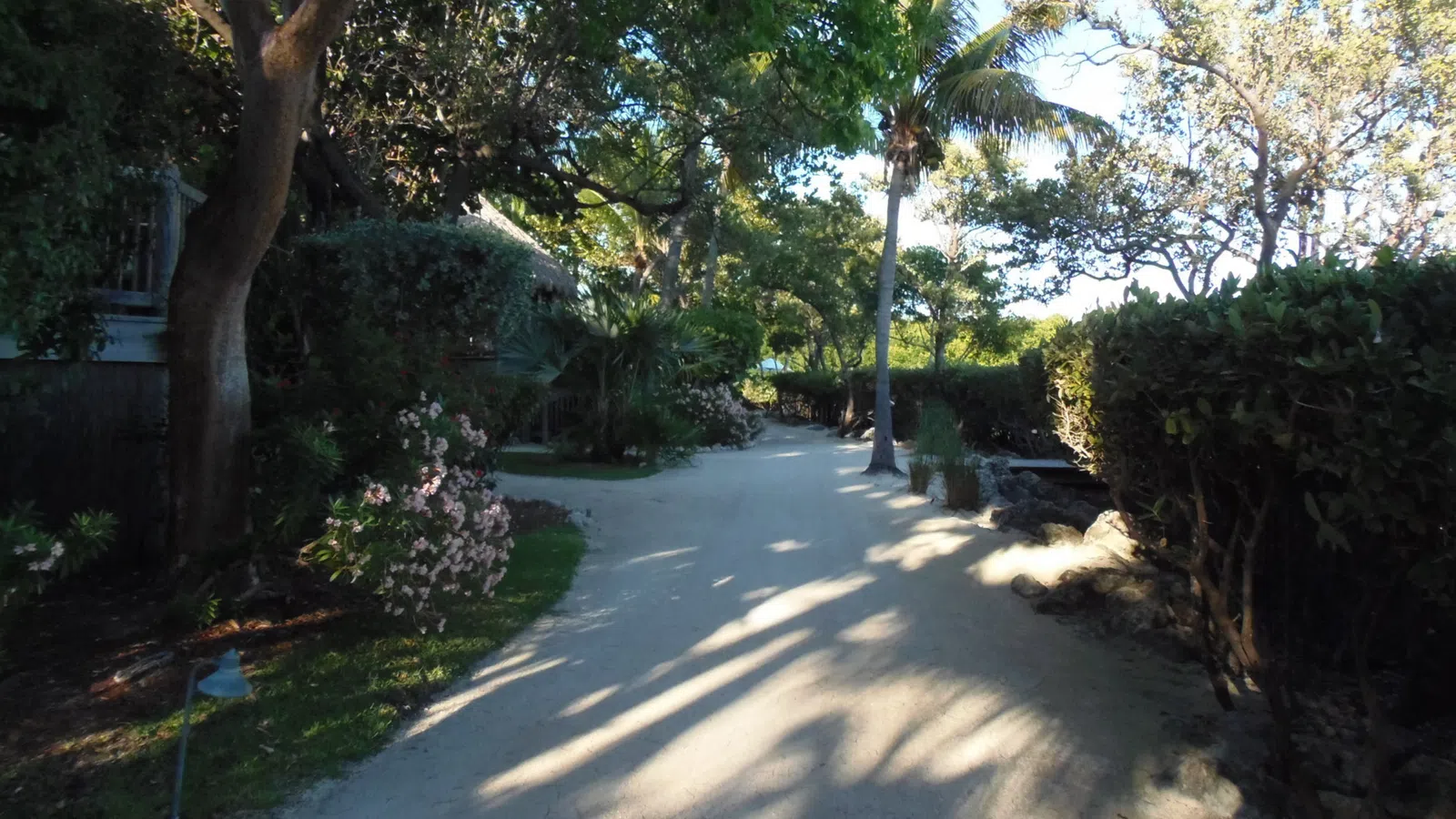 Dr. John Gets Lost On Little Palm Island