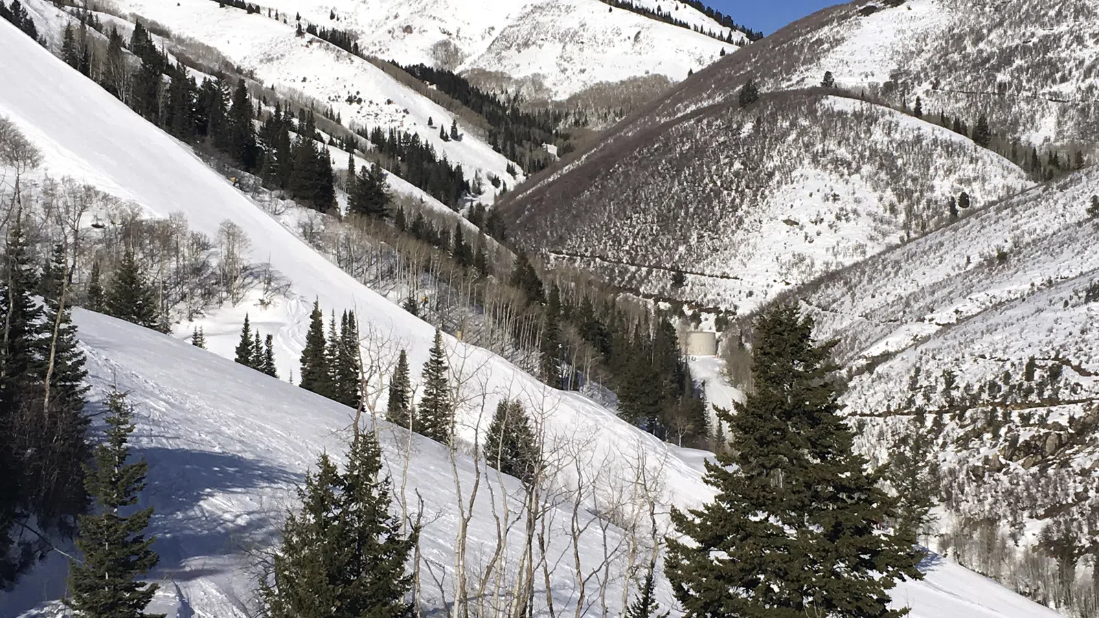 Spring Skiing at Its Best 