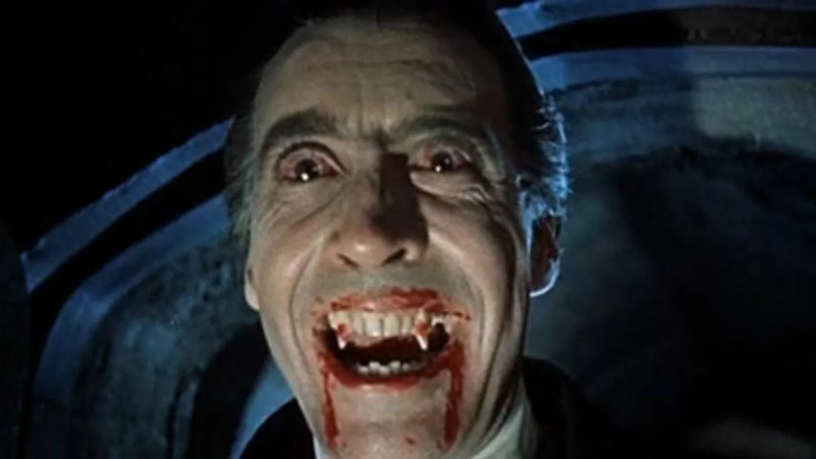 Beyond the Costume: Nola's Vampires