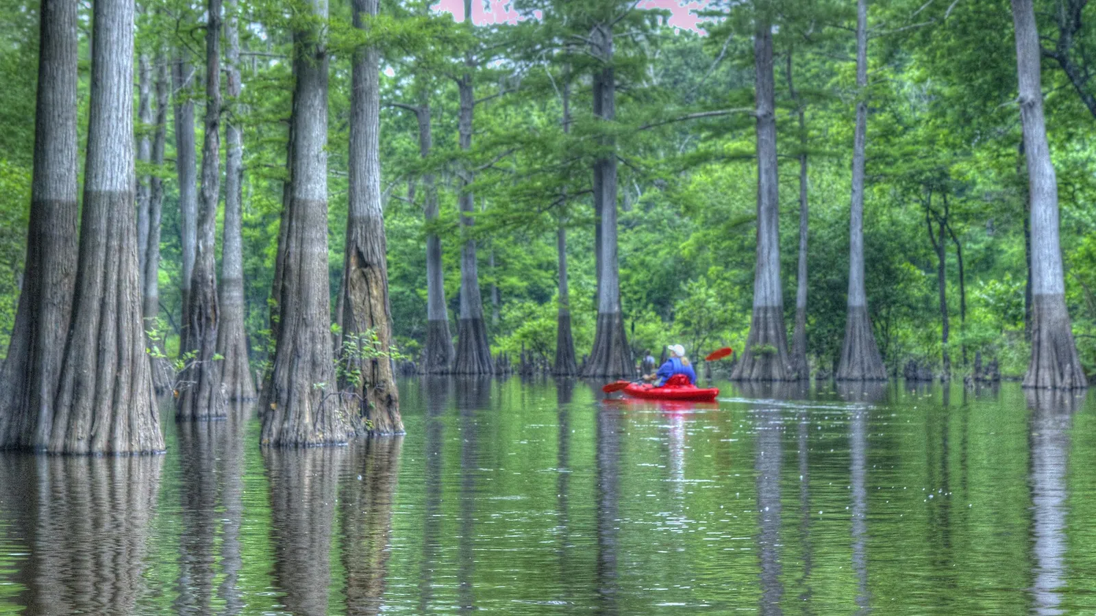 Kayak New Orleans